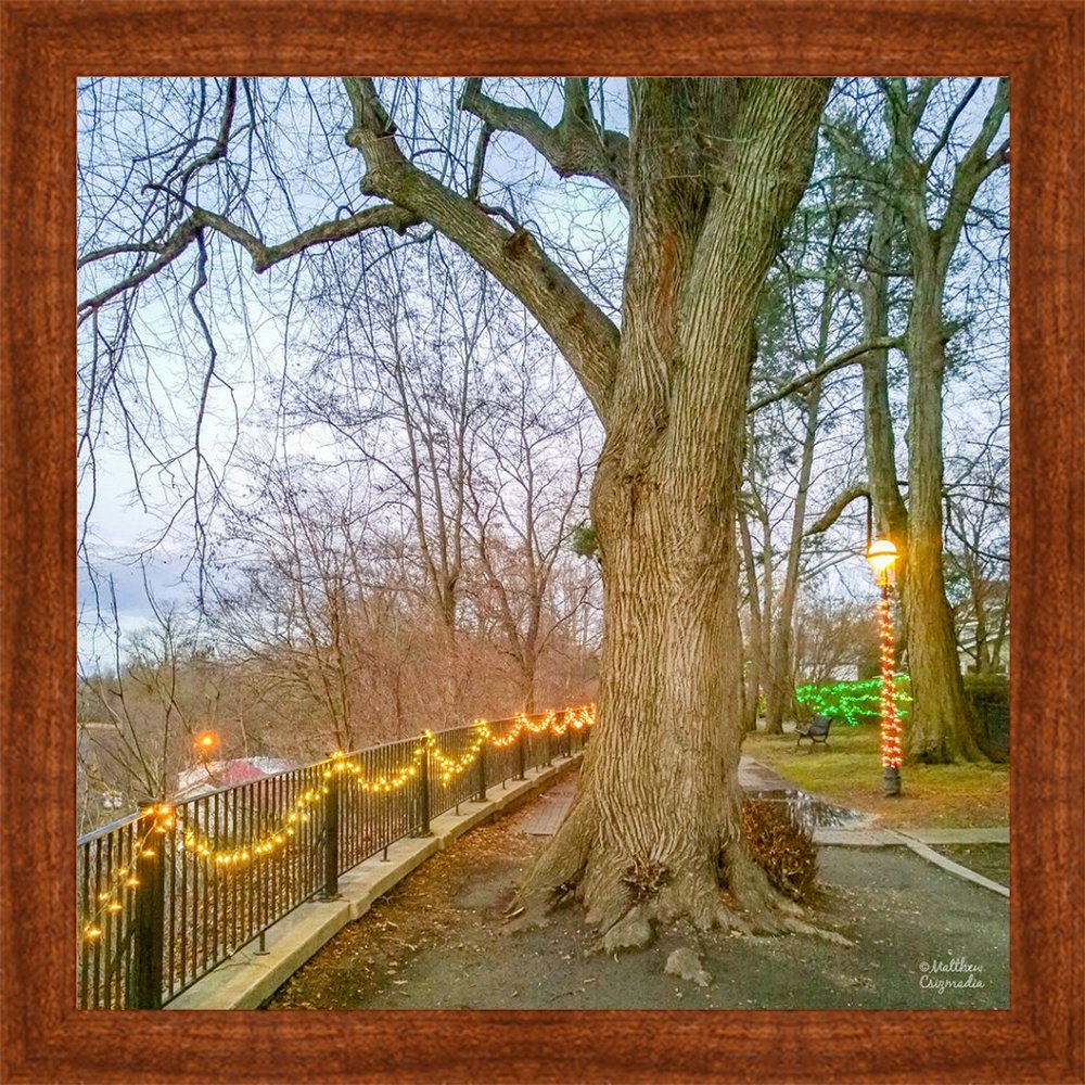 Christmastime Stroll Through Hilltop Park